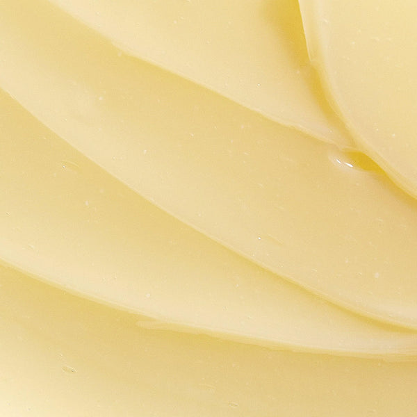 Ultimative Reinigung 100 ml. 