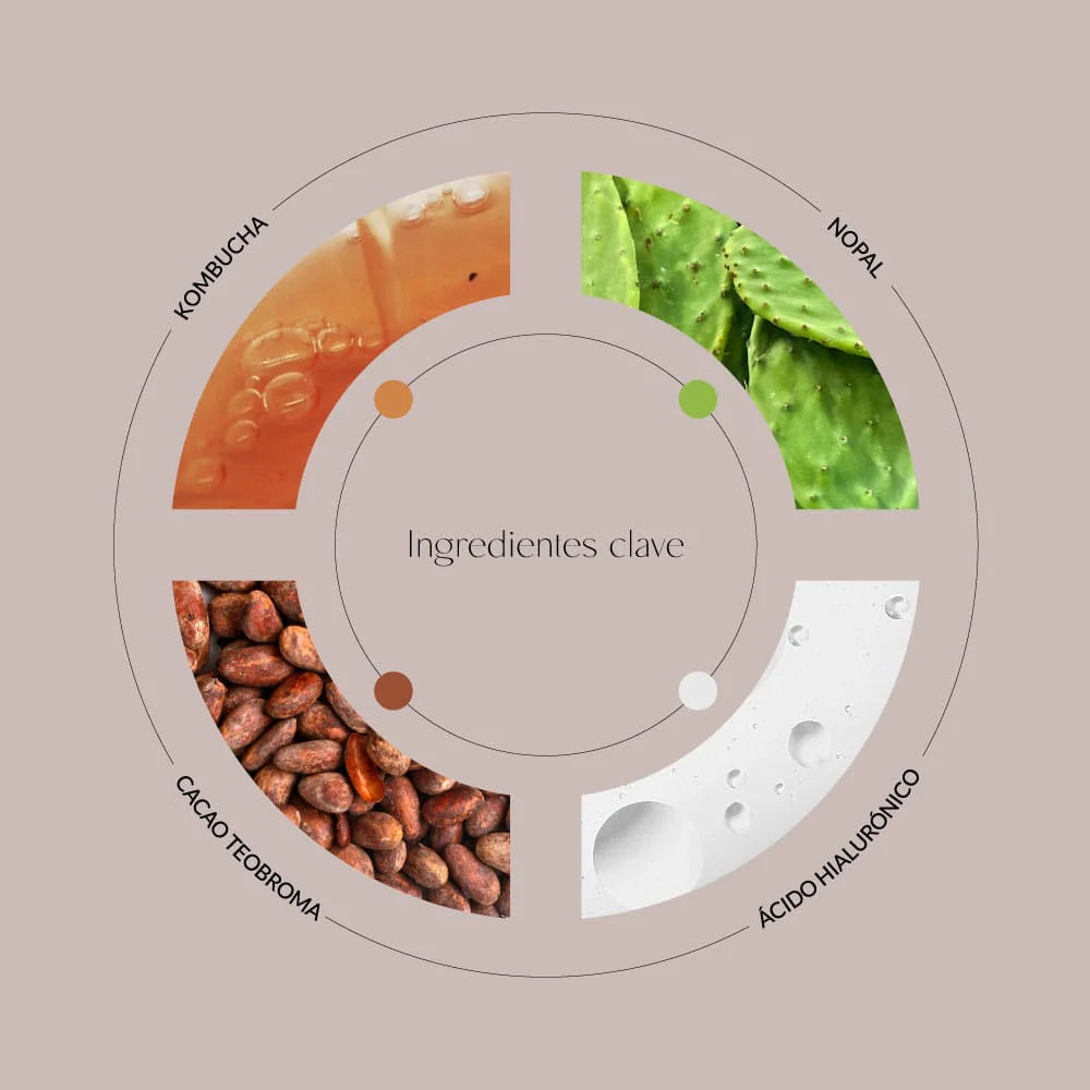 Nopal & Kombucha Metaphor Minitalla - Centro de Estética Itziar y Mariángeles