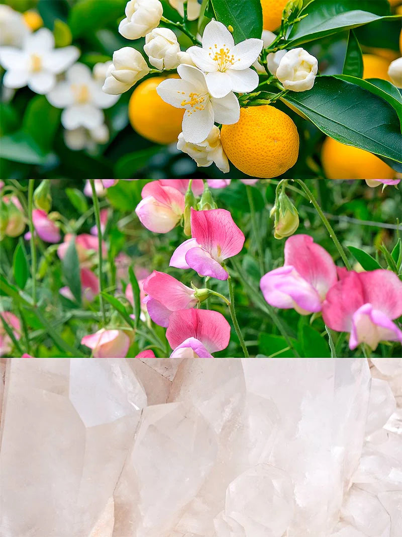 POETIC Woda kolońska - 50 ml 