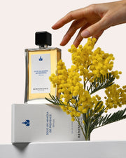Sous Un Mimosa De Provence | La Méditerranée