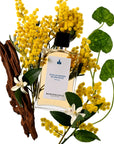 Sous Un Mimosa De Provence