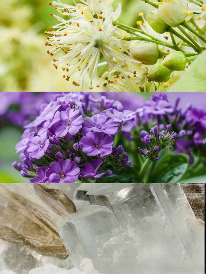 Tayda Eau de Parfum - 100 ml 