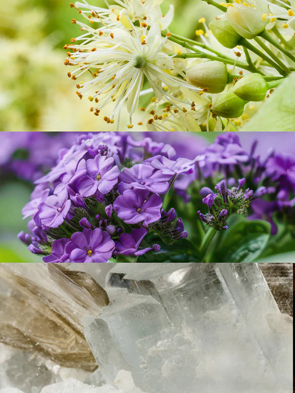 Tayda Eau de Parfum - 100 ml 