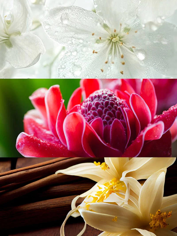 TEMIS Eau de Parfum - 15 ml. 