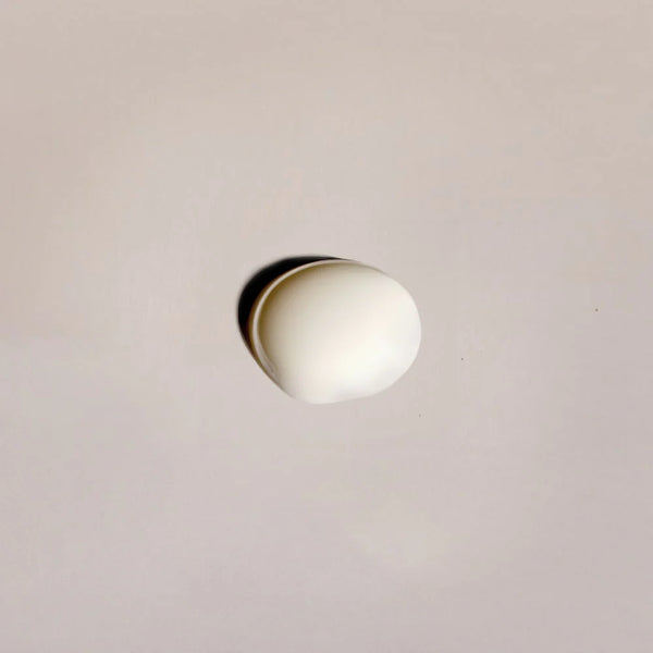 Nopal & Kombucha Metapher Minitalla 