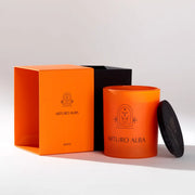 Vela Apolo