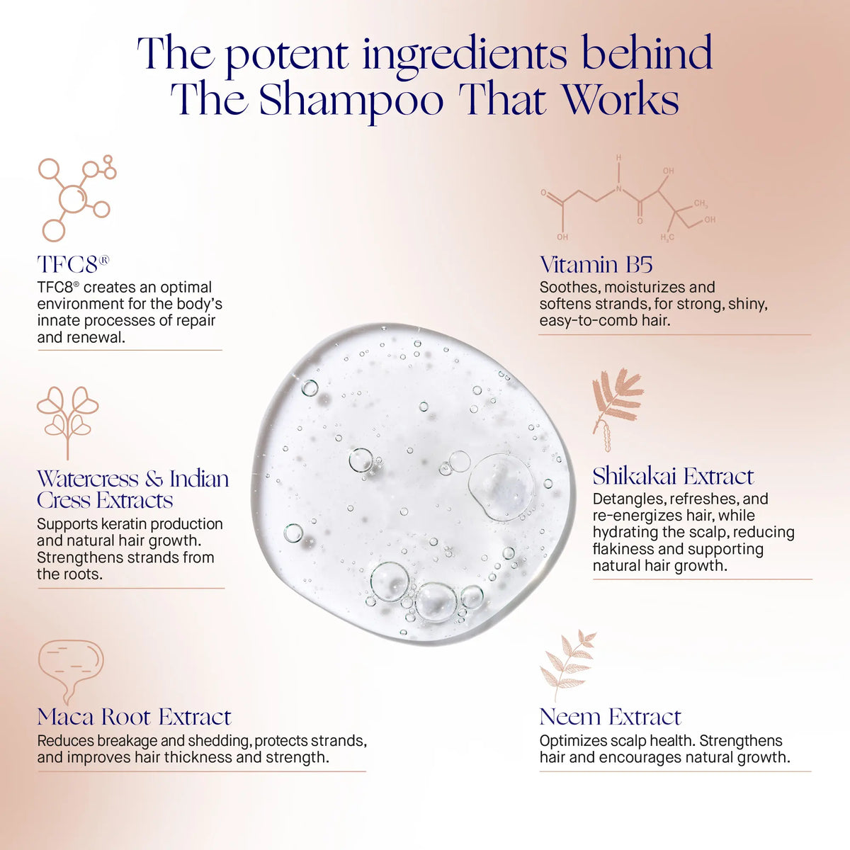 The Shampoo