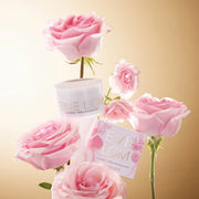40th Anniversary Heritage Cleanser | Cleanse