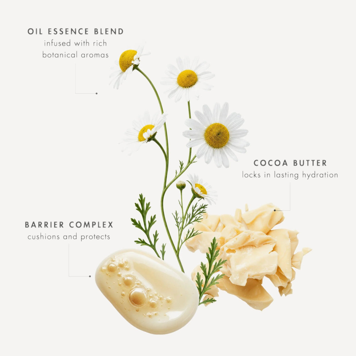 Eve Lom Cleanser