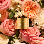 Time Retreat Daily Rejuvenating Cream | Time Retreat