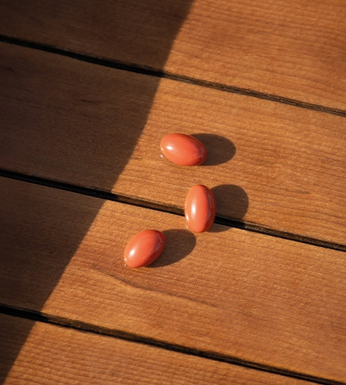 Océa Sun (30 cap.) | Riviera Sun 