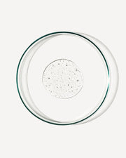 Energize Body Cleanser