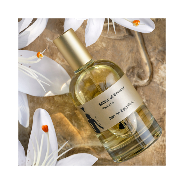 Wie ein Ägypter – Eau de Parfum (100 ml) 