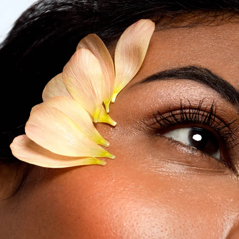 Brow Plume Perfection