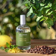 Menta y Menta