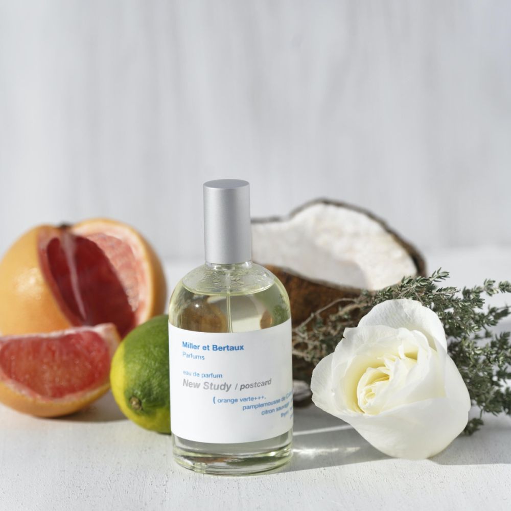 Novo Estudo / Cartão Postal – Eau de Parfum (100 ml) 