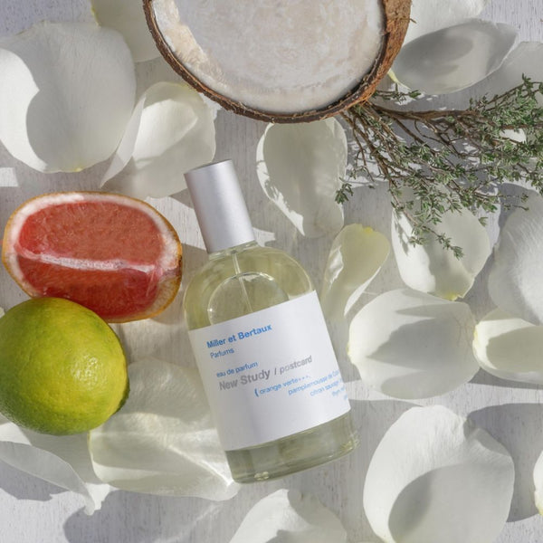 Neue Studie / Postkarte – Eau de Parfum (100 ml) 