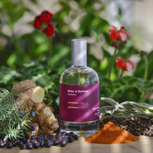 Paprika +++ – Eau de Parfum (100 ml) 