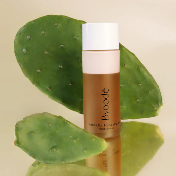 Nopal- und Kombucha-Metapher