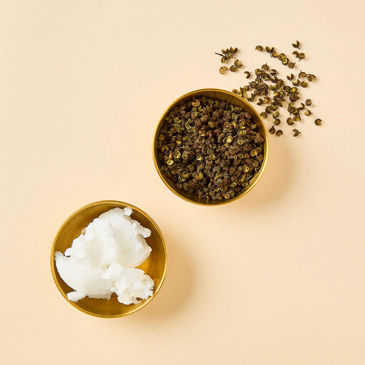 PHYRIS SOMI SPICEup
