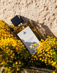 Sous Un Mimosa De Provence