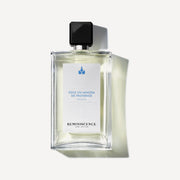 Sous Un Mimosa De Provence | La Méditerranée