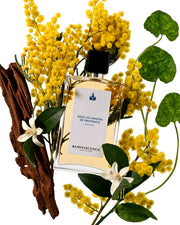 Sous Un Mimosa De Provence | La Méditerranée
