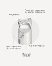 Seerum Skin Factor